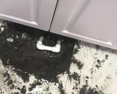 屯昌查漏水哪家好