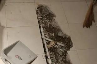 屯昌卫生间漏水检测电话